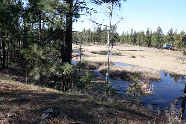 3302 West Depot Springs Road Cheney, WA 99004 - Photo 8 of 9