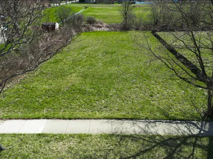 a view of a yard with large trees