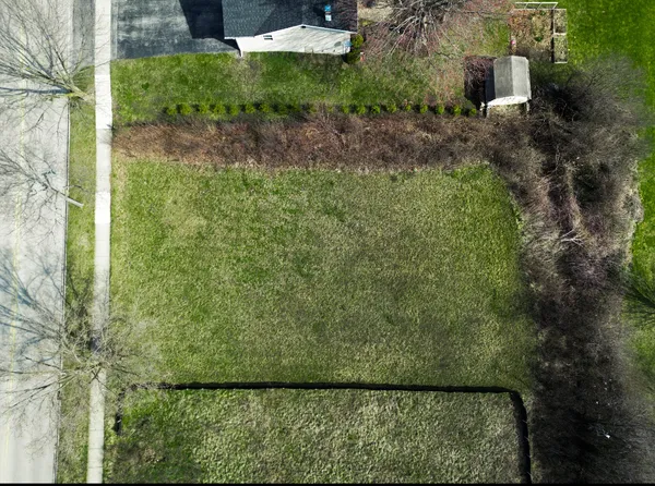 a view of a yard