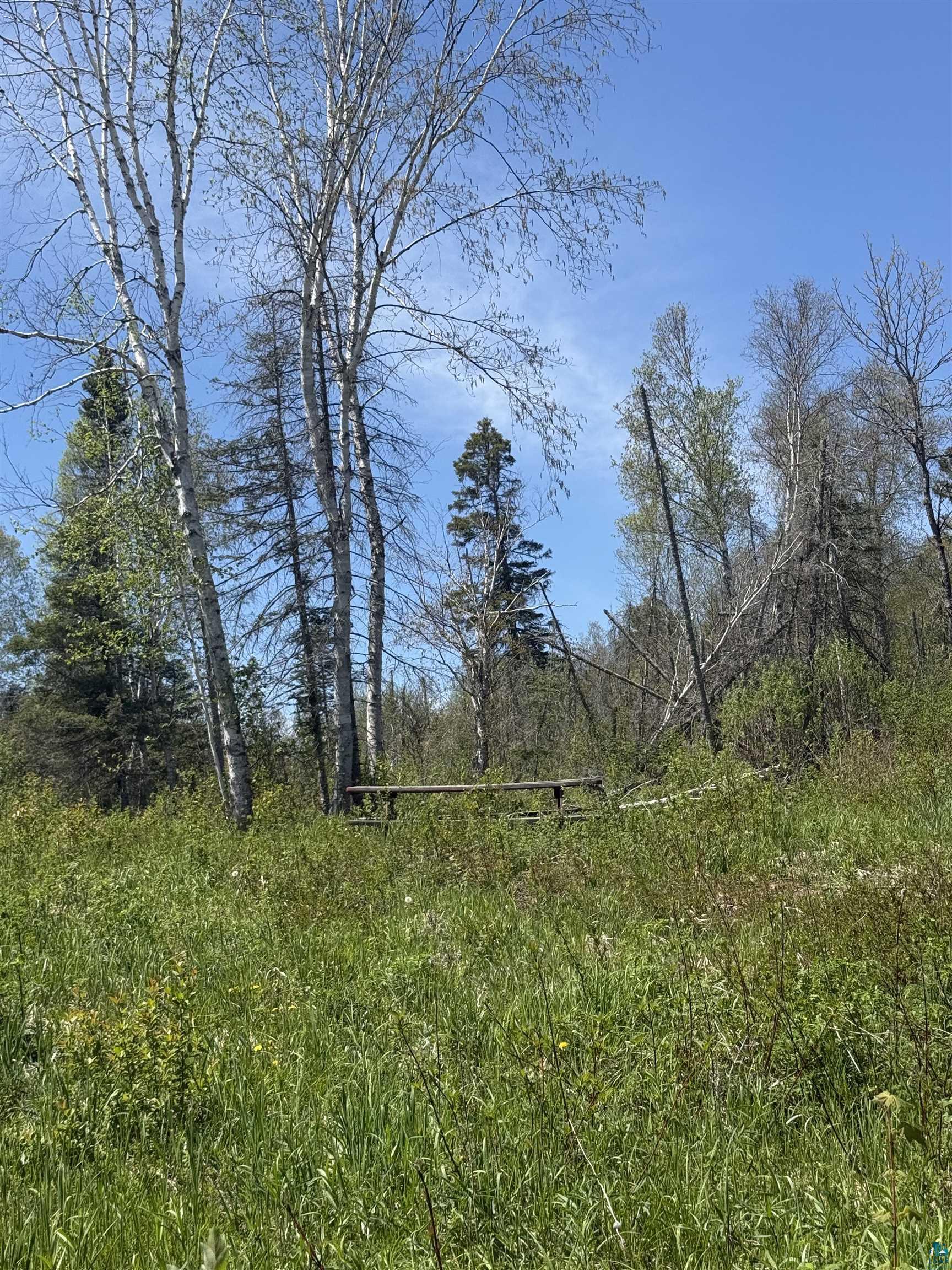 Tbd Crown Creek Road Finland, MN 55603 - Photo 9 of 14