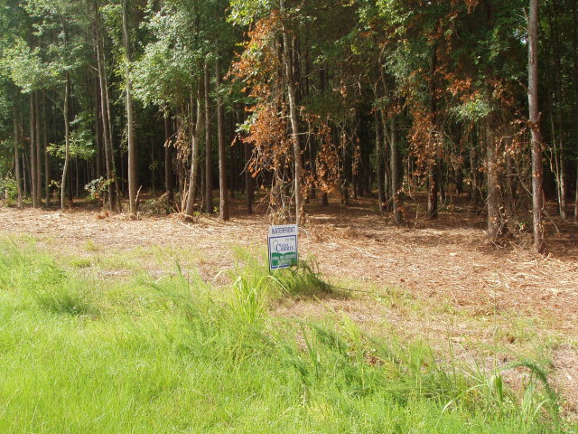 96 McGowan Road Bath, NC 27808 - Photo 1 of 7 Primary Photo