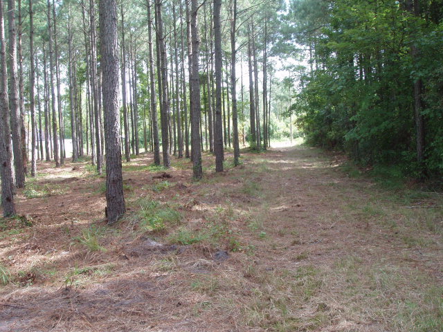 96 McGowan Road Bath, NC 27808 - Photo 2 of 7 Additional Photo
