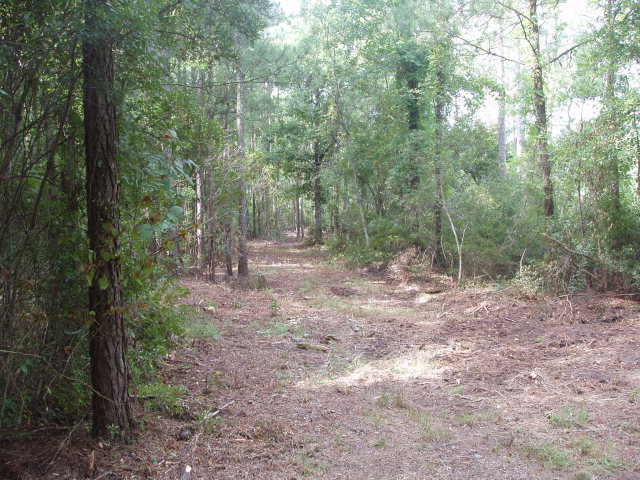 96 McGowan Road Bath, NC 27808 - Photo 5 of 7 Additional Photo