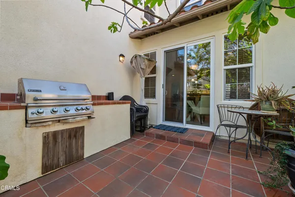 a close up of a plant in a garden