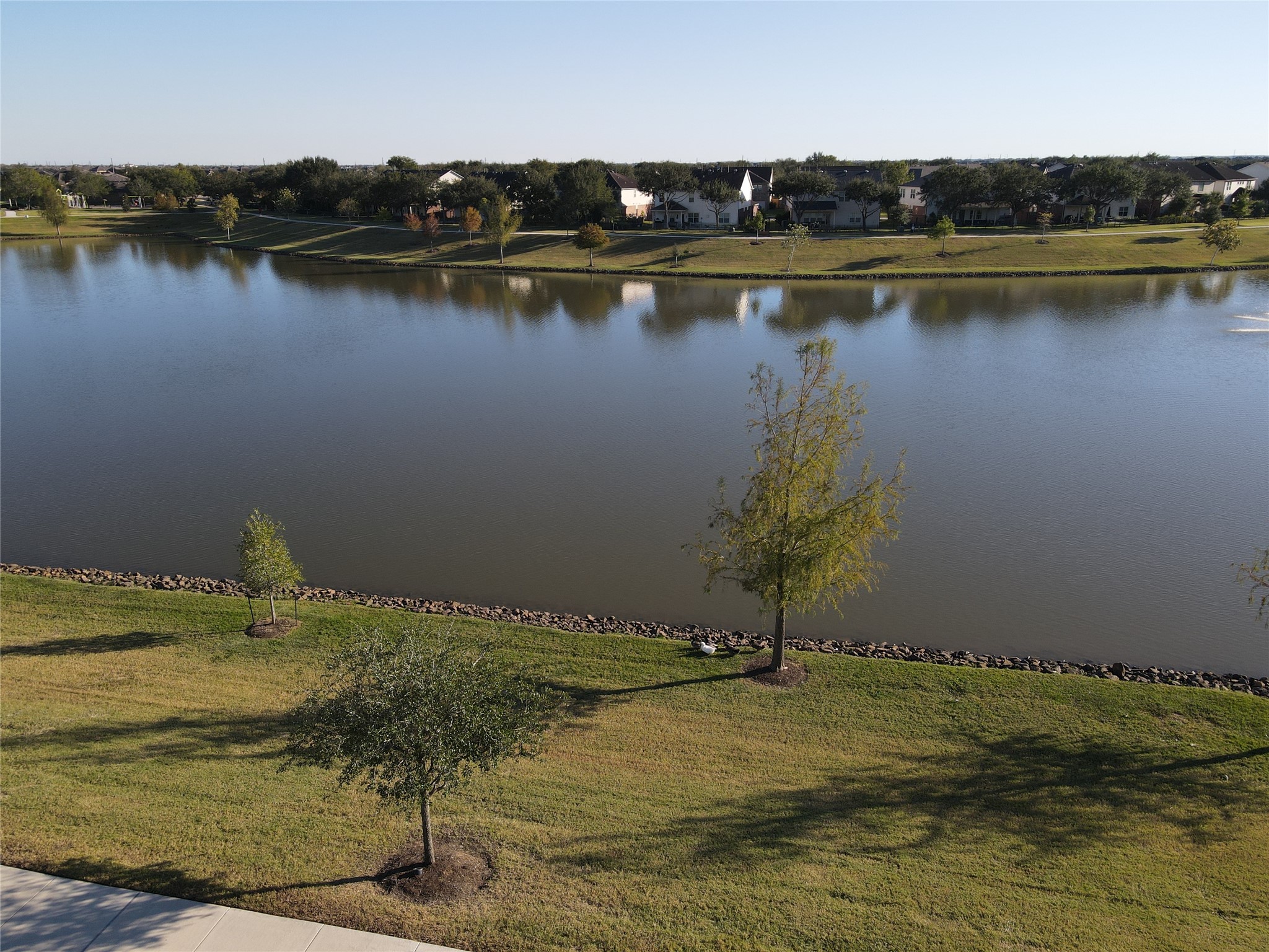 518 Honeysuckle Vine Drive Rosenberg, TX 77469 - Photo 36 of 42