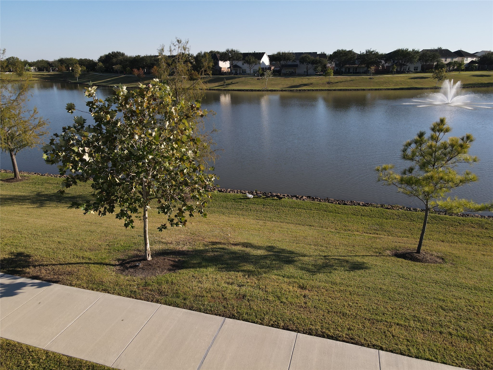 518 Honeysuckle Vine Drive Rosenberg, TX 77469 - Photo 42 of 42