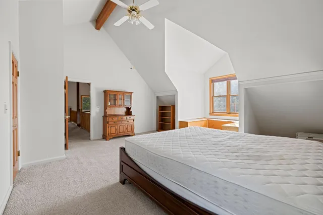 a view of backyard with tree