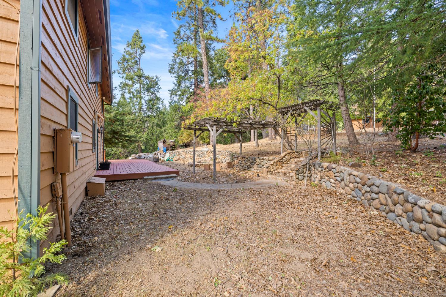 8061 Happy Valley Road Somerset, CA 95684 - Photo 49 of 66 a view of a yard with plants and trees