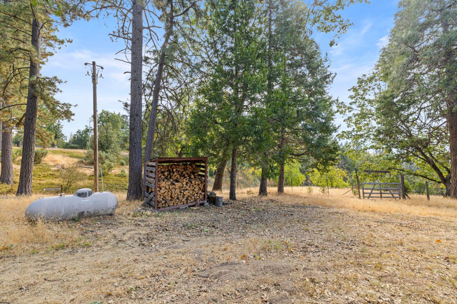 8061 Happy Valley Road Somerset, CA 95684 - Photo 50 of 66 a view of backyard with tree