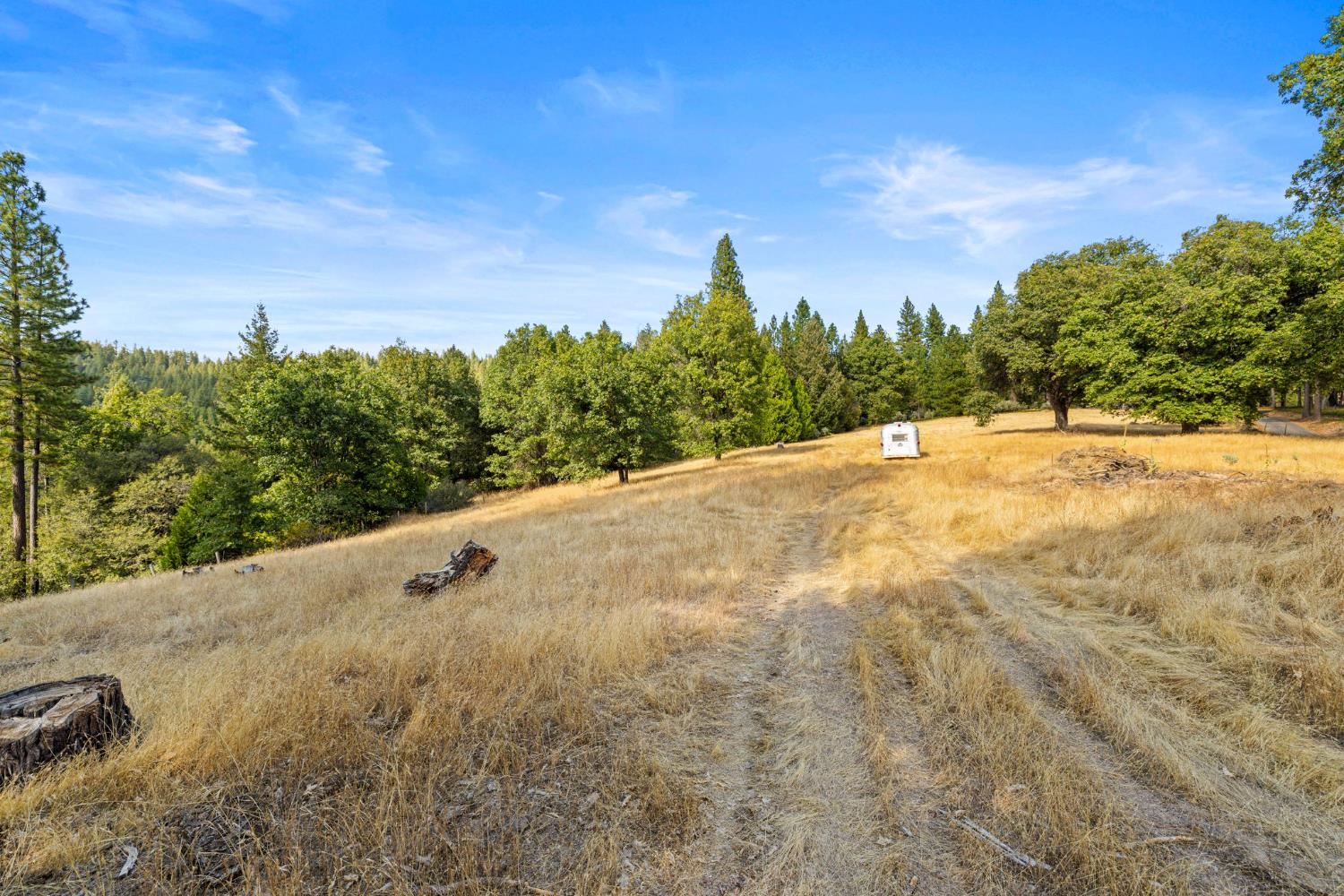 8061 Happy Valley Road Somerset, CA 95684 - Photo 61 of 66 a view of a road with a yard