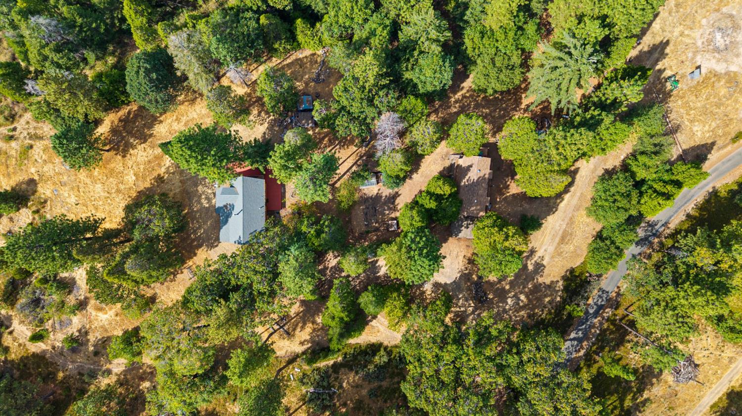 8061 Happy Valley Road Somerset, CA 95684 - Photo 62 of 66 an aerial view of residential houses with outdoor space and trees