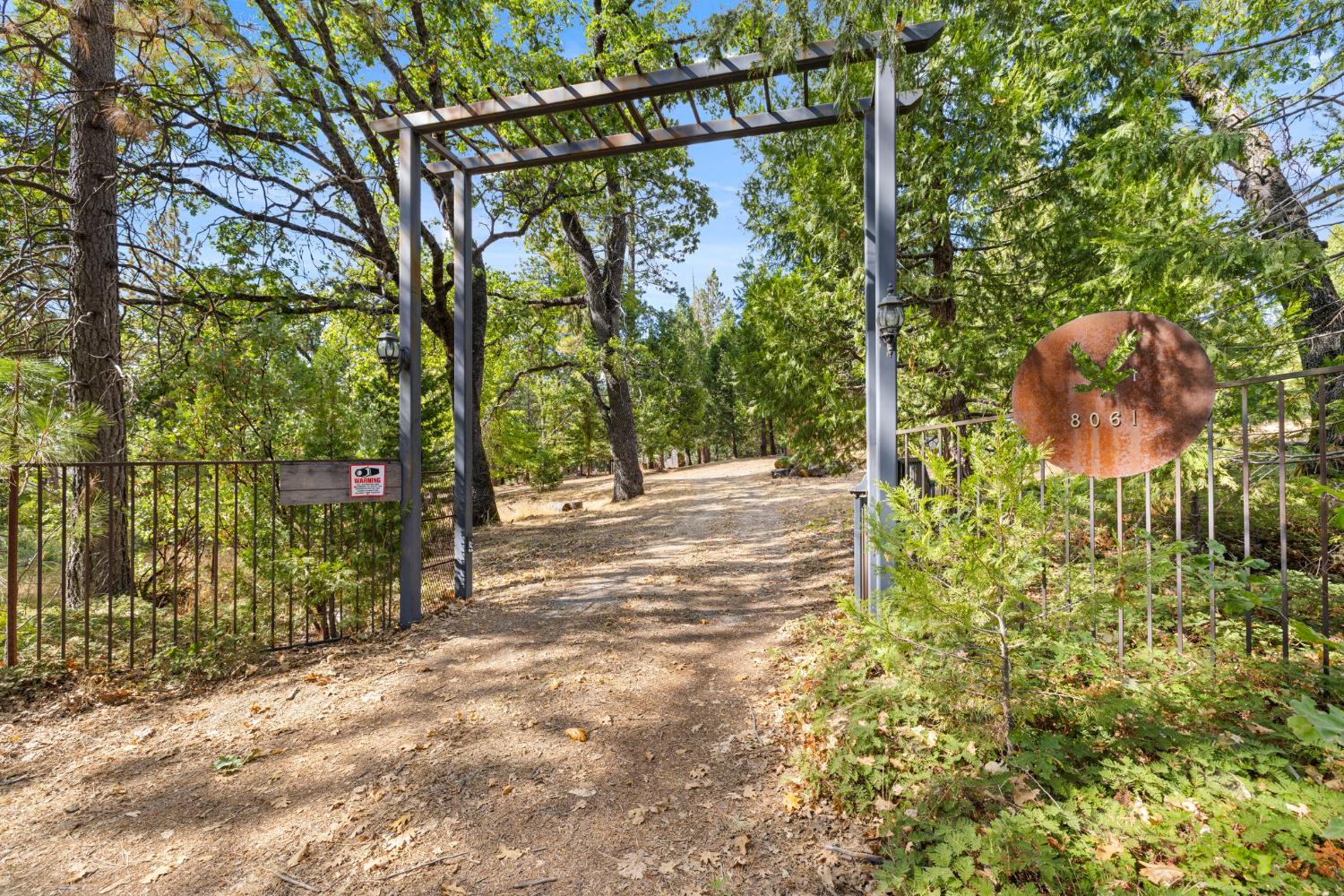 8061 Happy Valley Road Somerset, CA 95684 - Photo 8 of 66 a view of a yard with plants and large trees