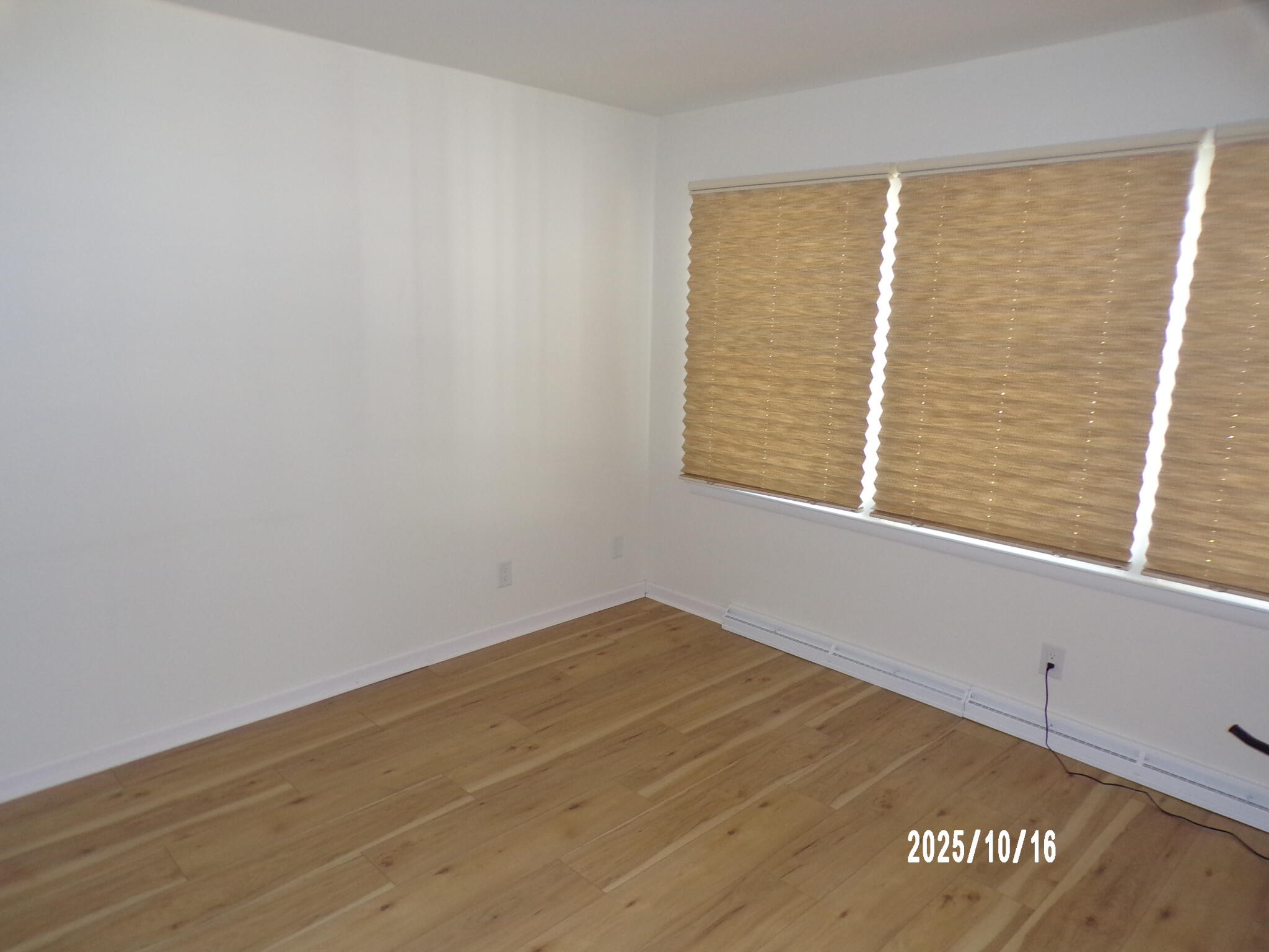 210 North Division Street Spring Lake, MI 49456 - Photo 5 of 13 107_9248