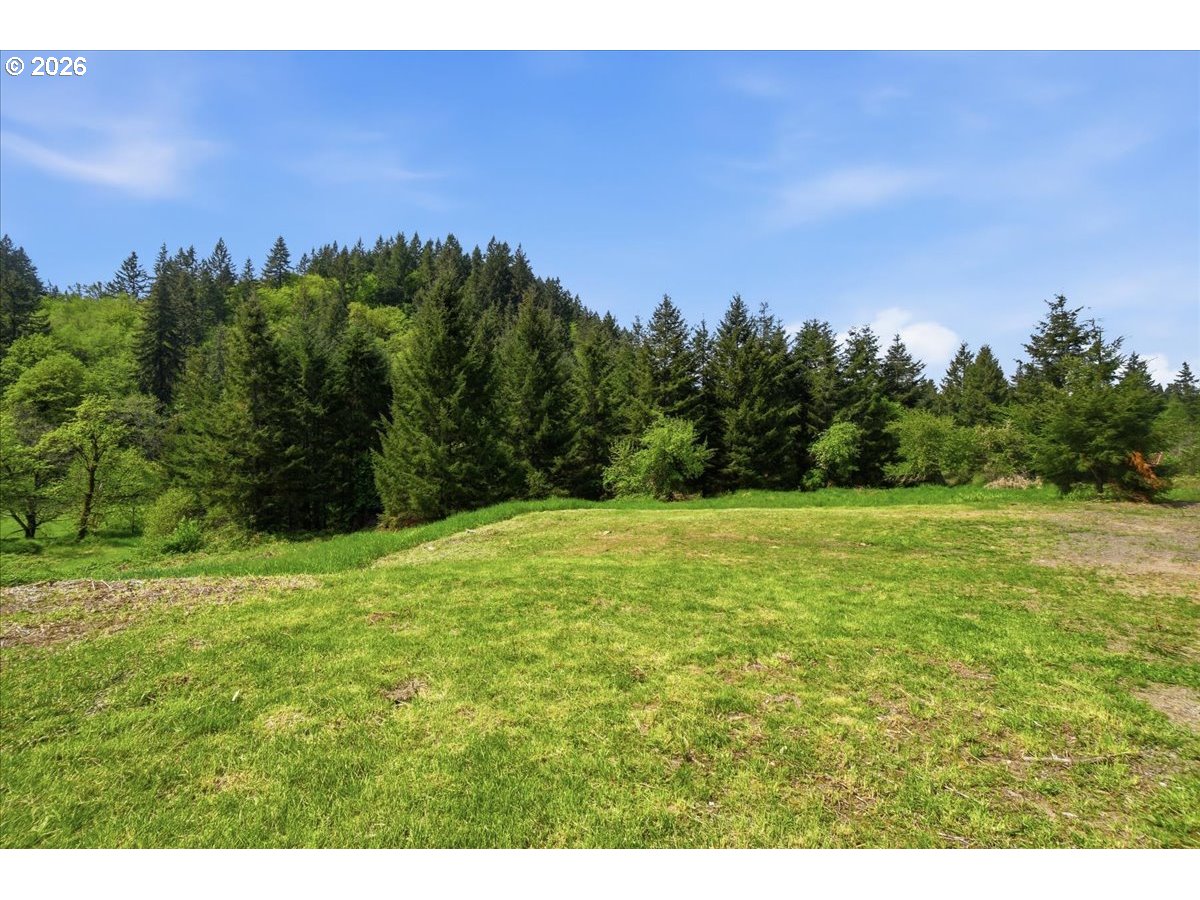 66801 Bishop Creek Road Deer Island, OR 97054 - Photo 25 of 35