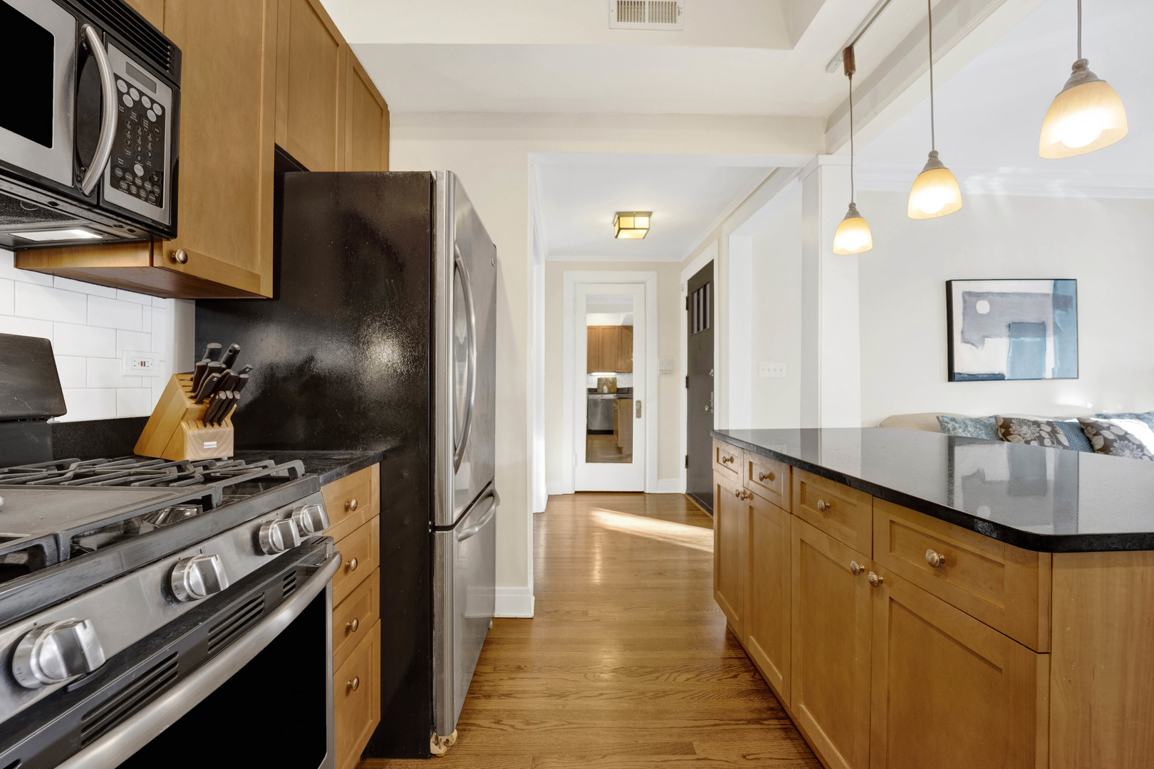 1350 West Rosedale Avenue, Unit 2 Chicago, IL 60660 - Photo 8 of 22 Gallery Image 8