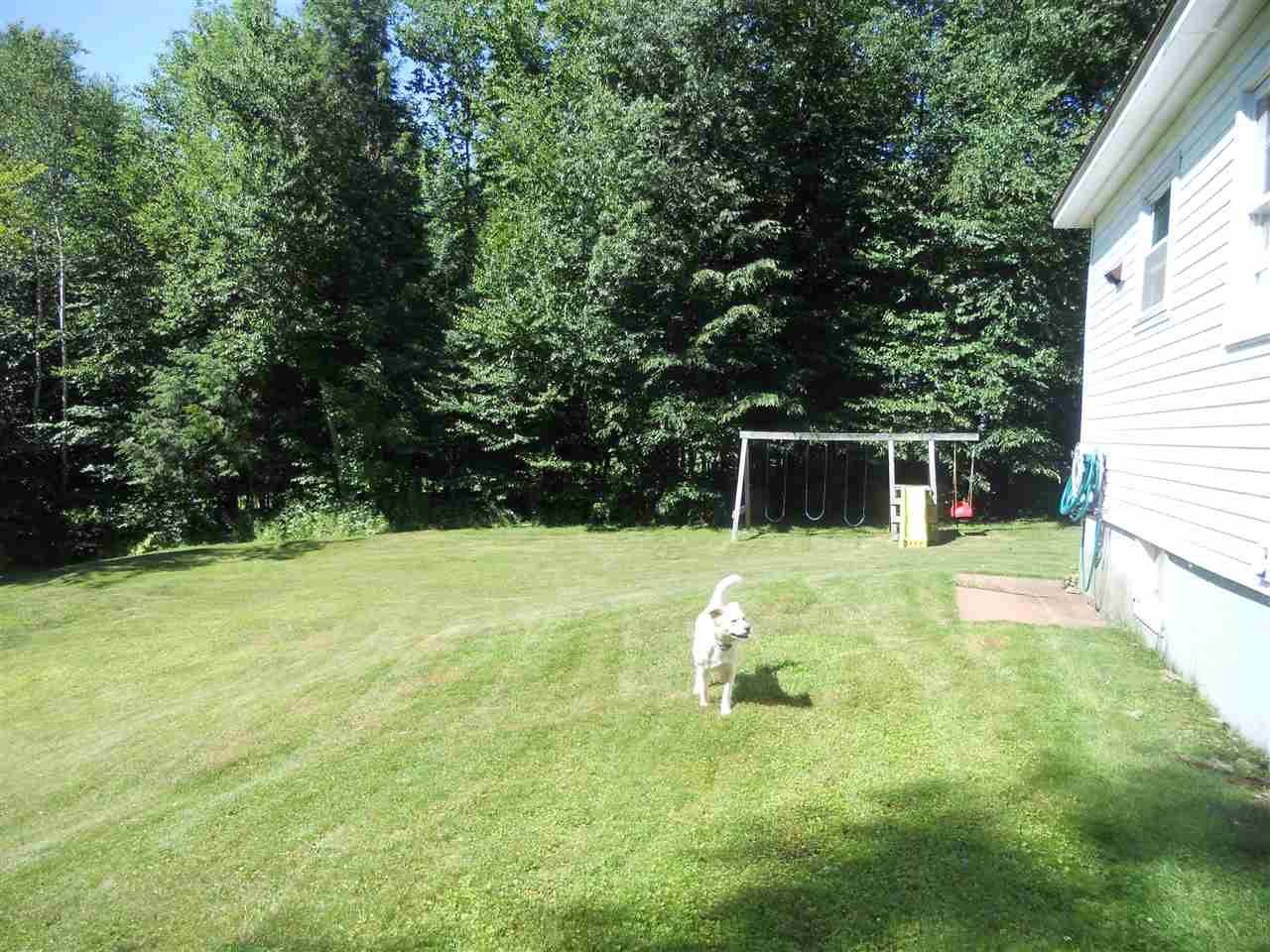 561 Maple Hill Road Johnson, VT 05656 - Photo 19 of 22