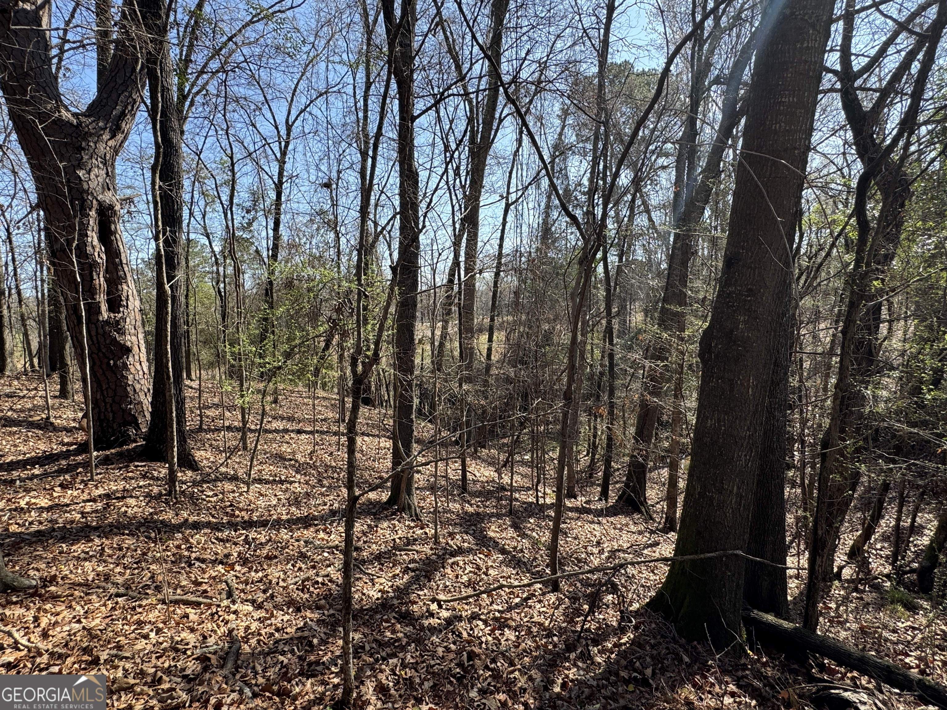 1978 Wood Valley Road Macon, GA 31211 - Photo 4 of 8