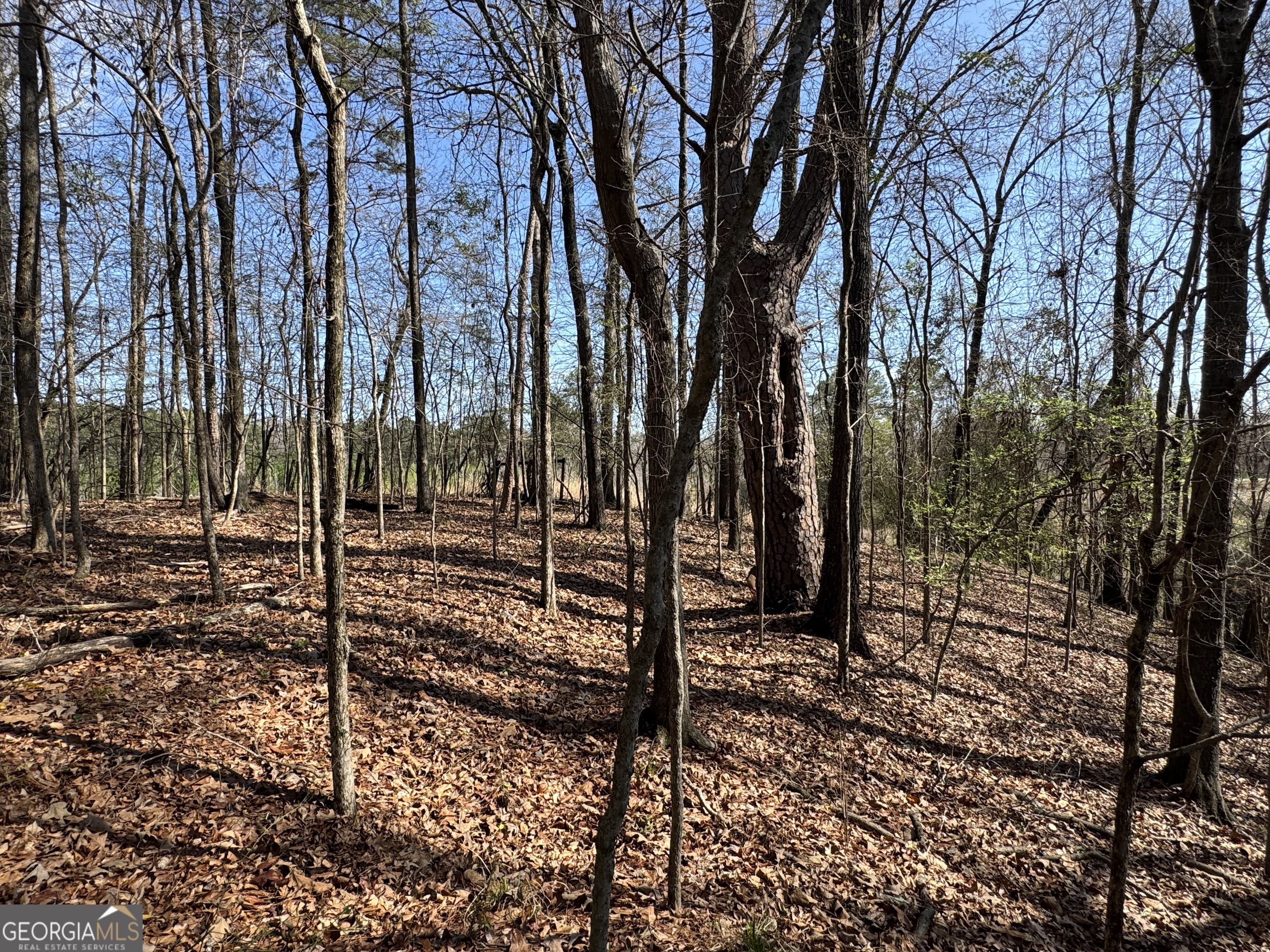 1978 Wood Valley Road Macon, GA 31211 - Photo 5 of 8