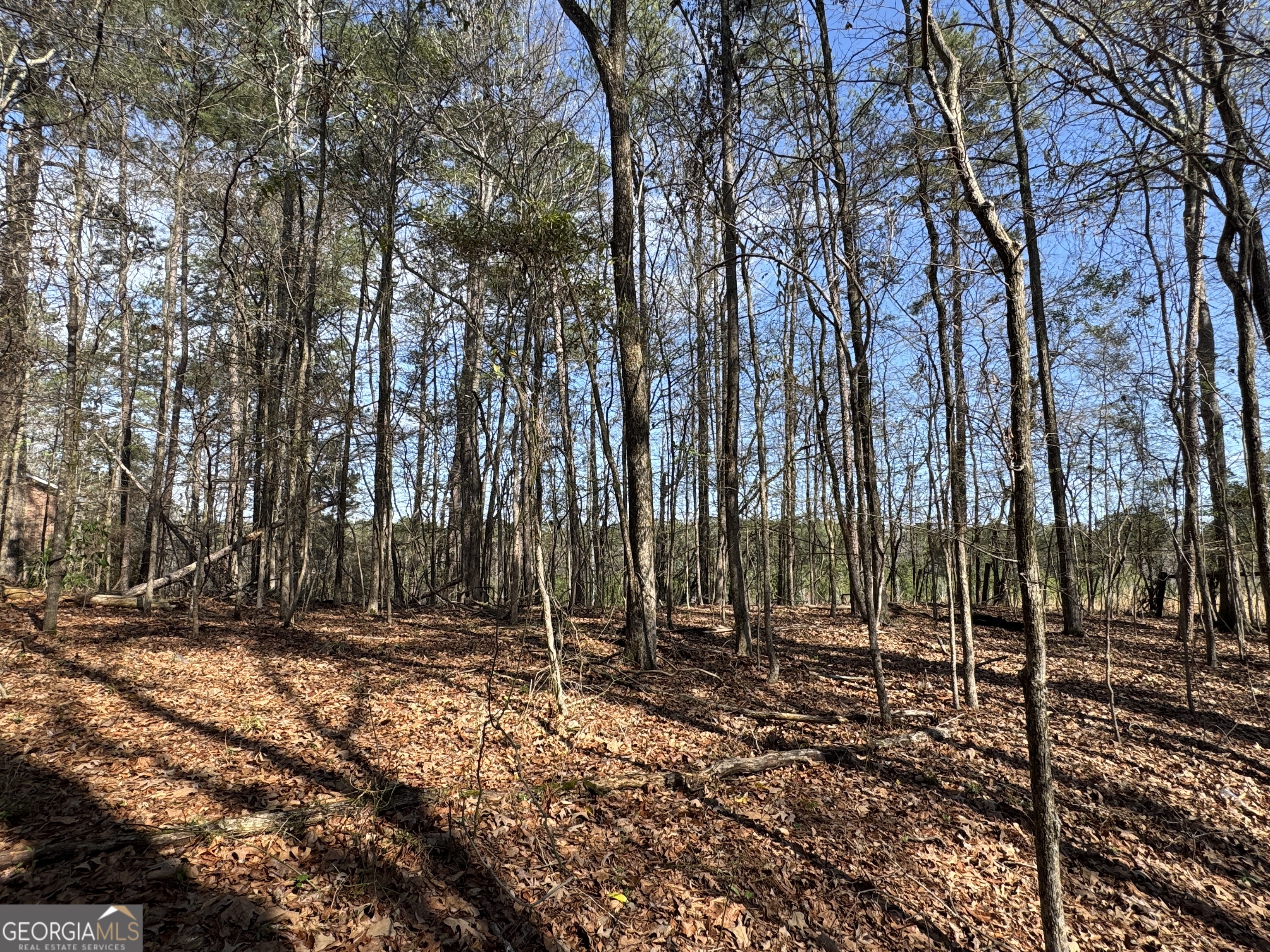 1978 Wood Valley Road Macon, GA 31211 - Photo 6 of 8