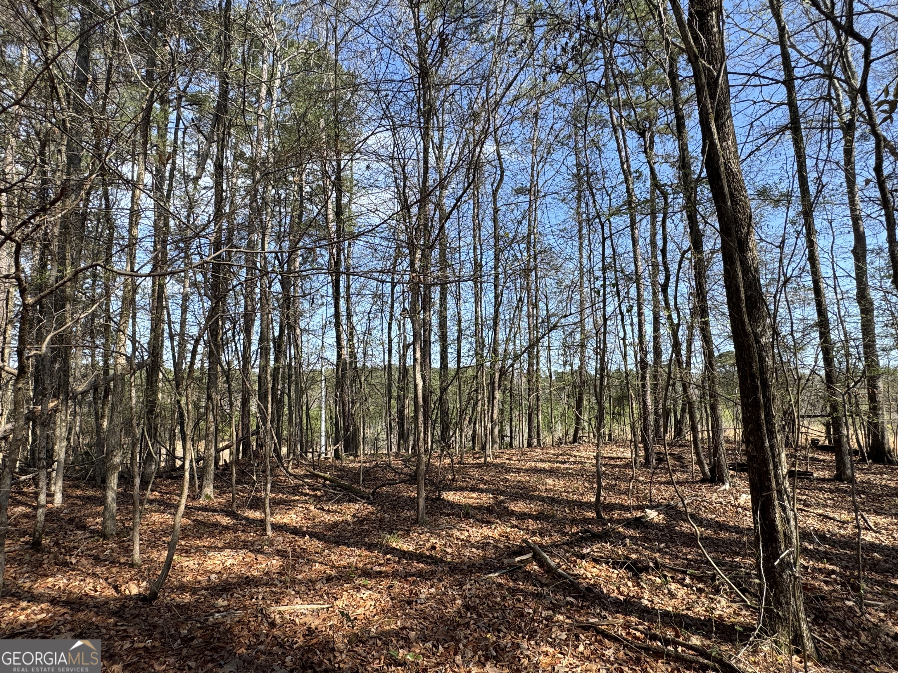 1978 Wood Valley Road Macon, GA 31211 - Photo 7 of 8