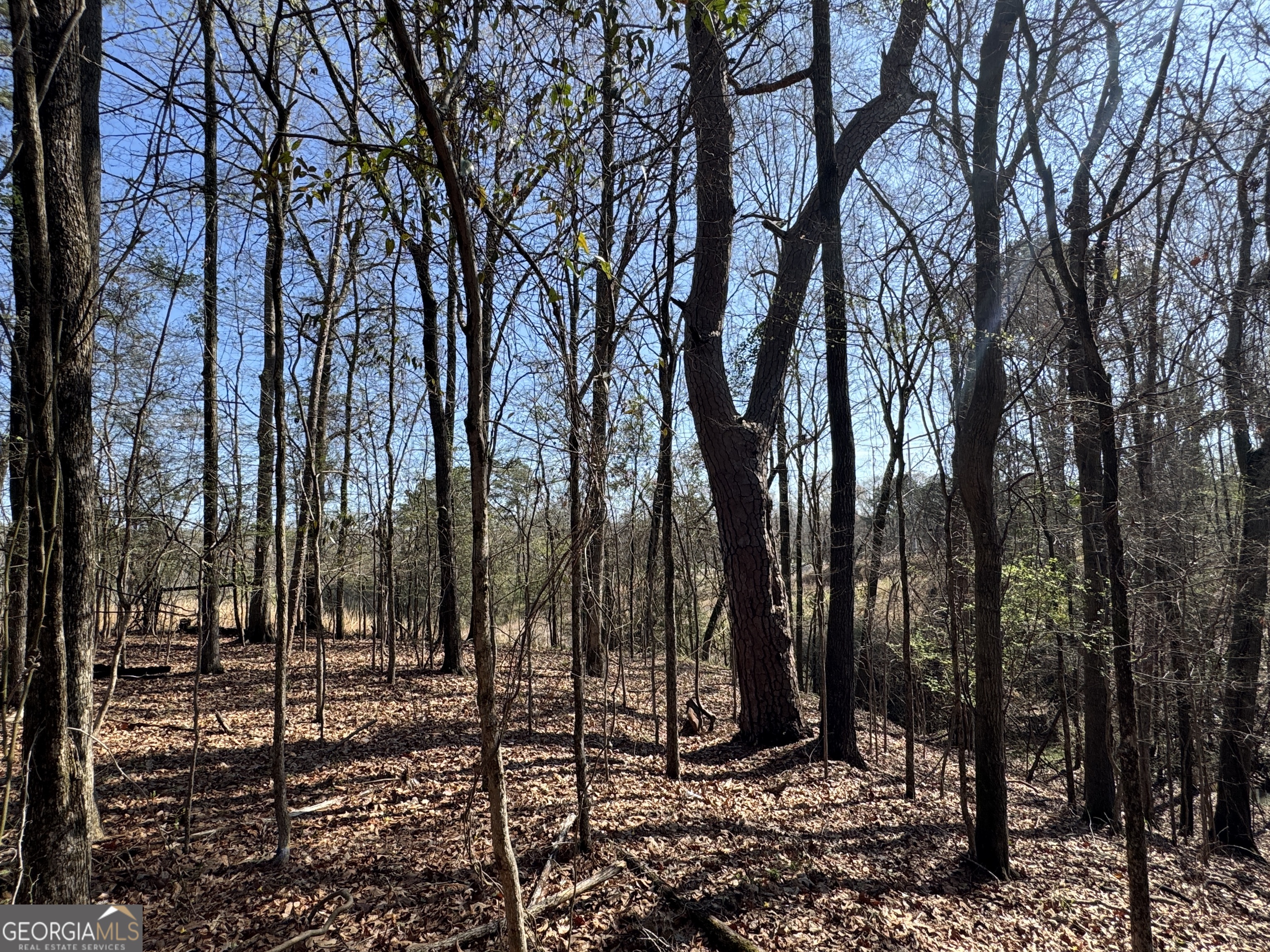 1978 Wood Valley Road Macon, GA 31211 - Photo 8 of 8