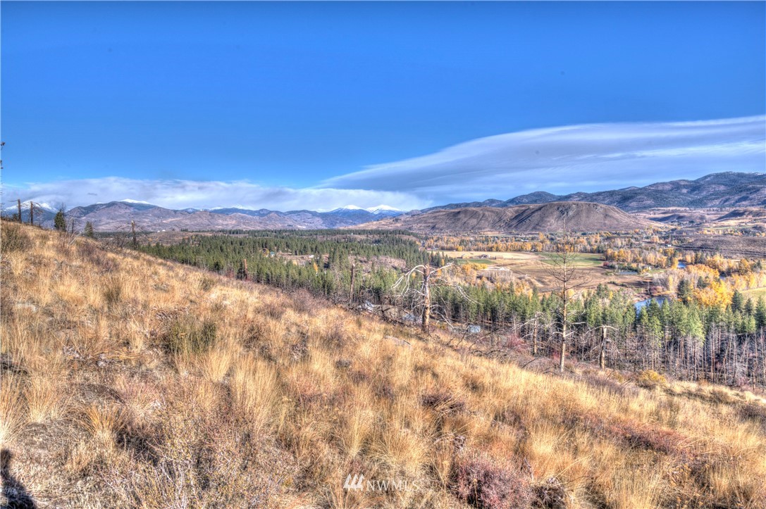 46 Rising Eagle Road Twisp, WA 98856 - Photo 1 of 38 Gallery Image 1