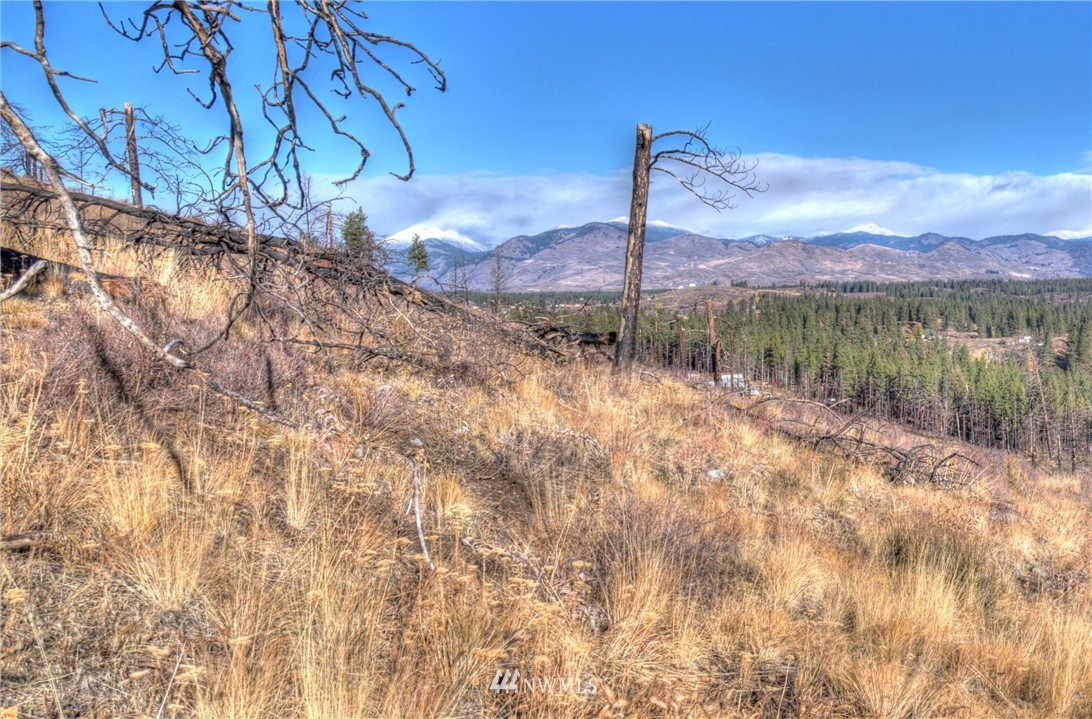 46 Rising Eagle Road Twisp, WA 98856 - Photo 23 of 38 Gallery Image 23