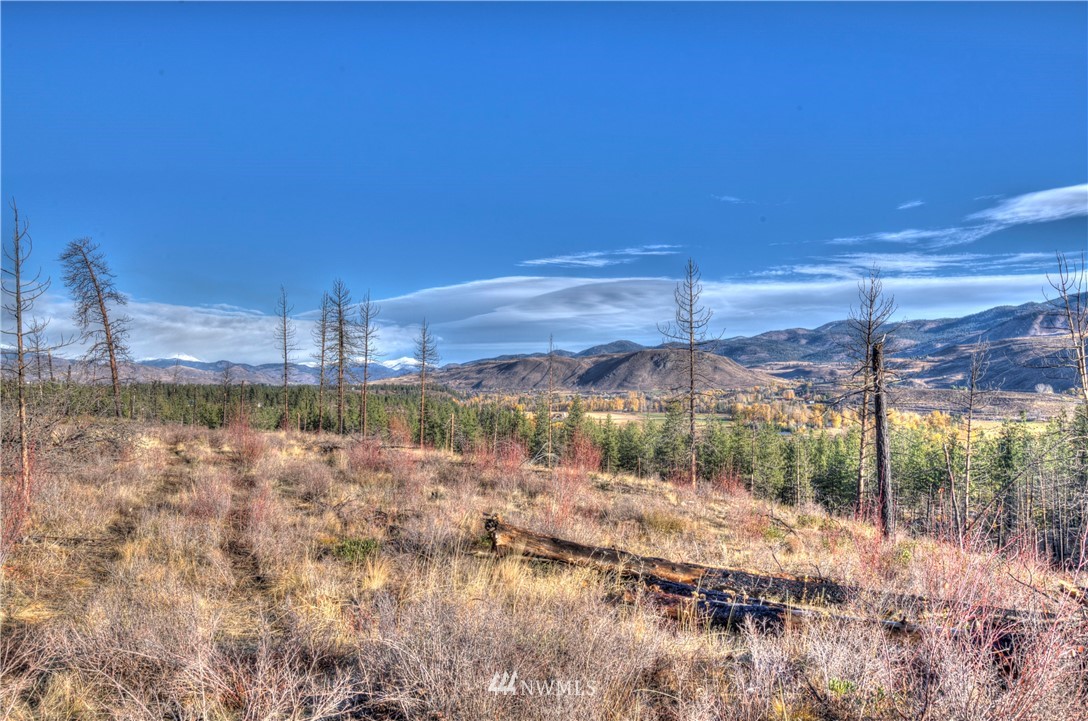 46 Rising Eagle Road Twisp, WA 98856 - Photo 3 of 38 Gallery Image 3