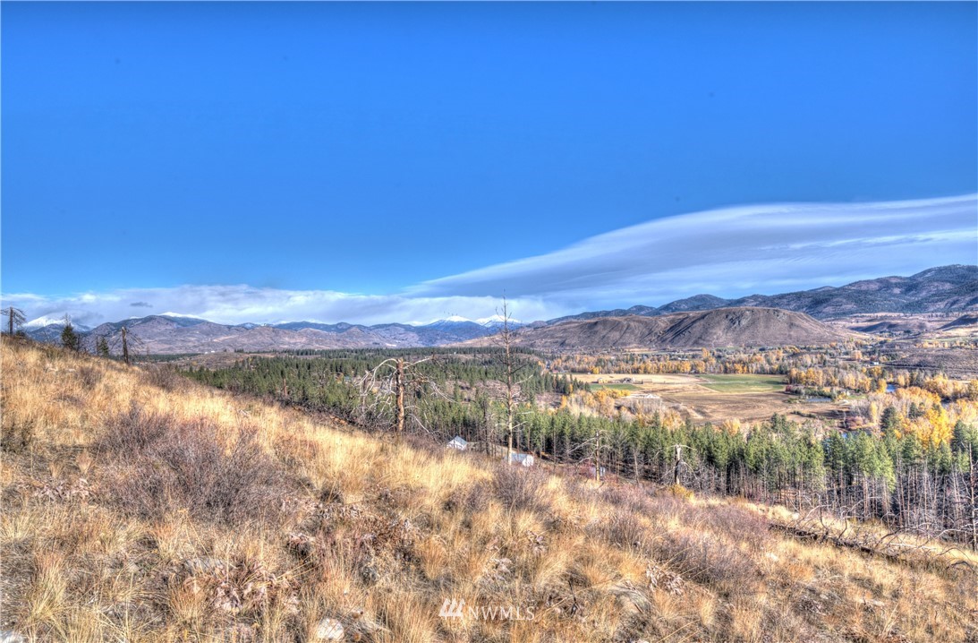 46 Rising Eagle Road Twisp, WA 98856 - Photo 7 of 38 Gallery Image 7