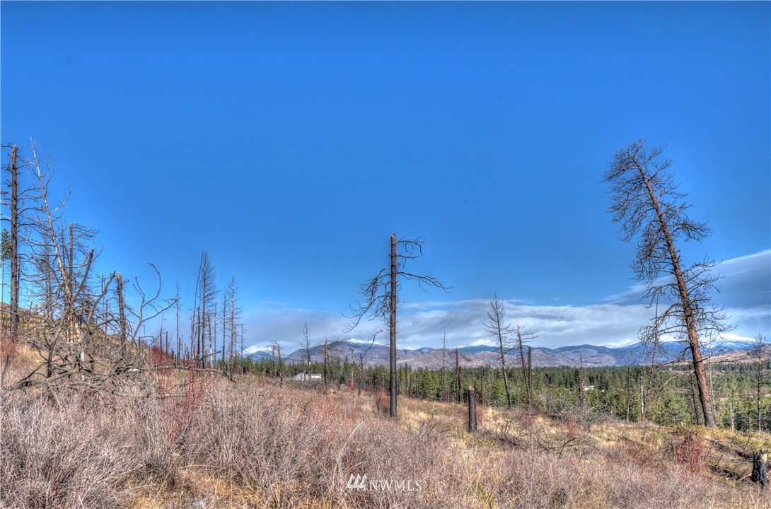 46 Rising Eagle Road Twisp, WA 98856 - Photo 8 of 38 Gallery Image 8