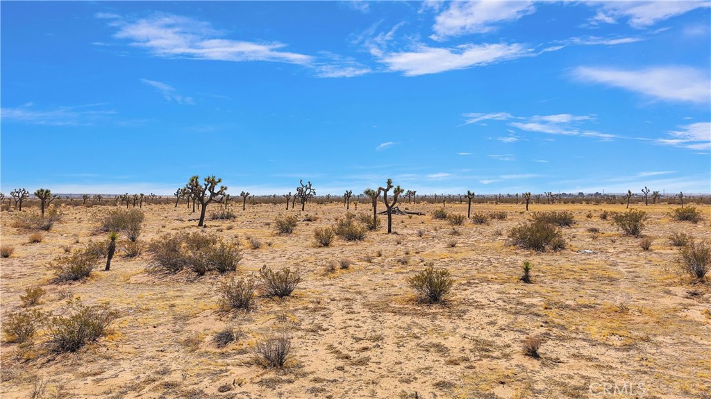 9770 Nichols Road Adelanto, CA 92301 - Photo 10 of 11 a view of beach and a beach