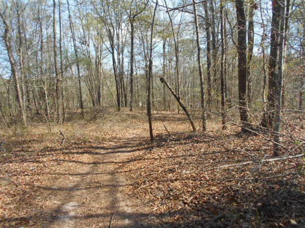 0 Nebo Road Hiram, GA 30141 - Photo 3 of 13