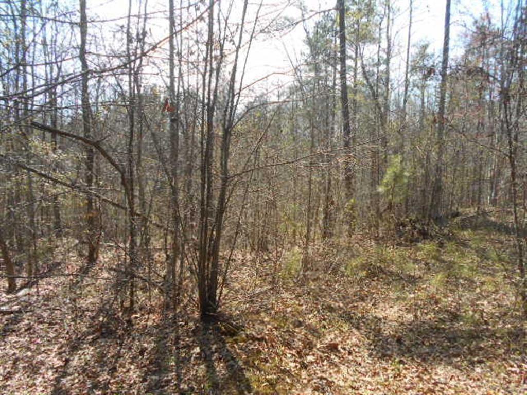 0 Nebo Road Hiram, GA 30141 - Photo 5 of 13