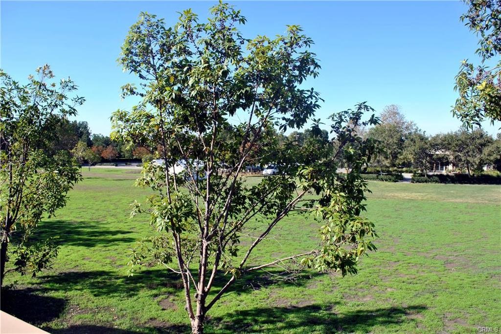 124 Cartier Aisle Irvine, CA 92620 - Photo 11 of 31 a view of a lake with a large trees