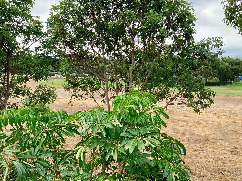 124 Cartier Aisle Irvine, CA 92620 - Photo 7 of 31 a backyard of a house with lots of green space