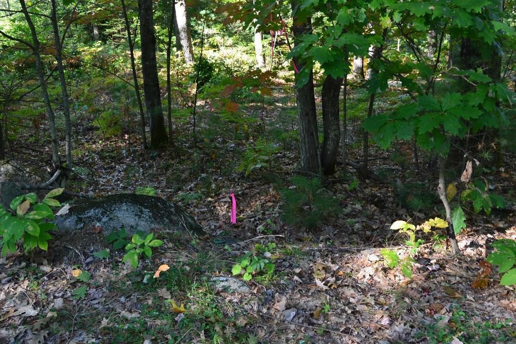 310 Intervale Road Bethel, ME 04217 - Photo 3 of 13 Pin on Intervale downhill side of lot