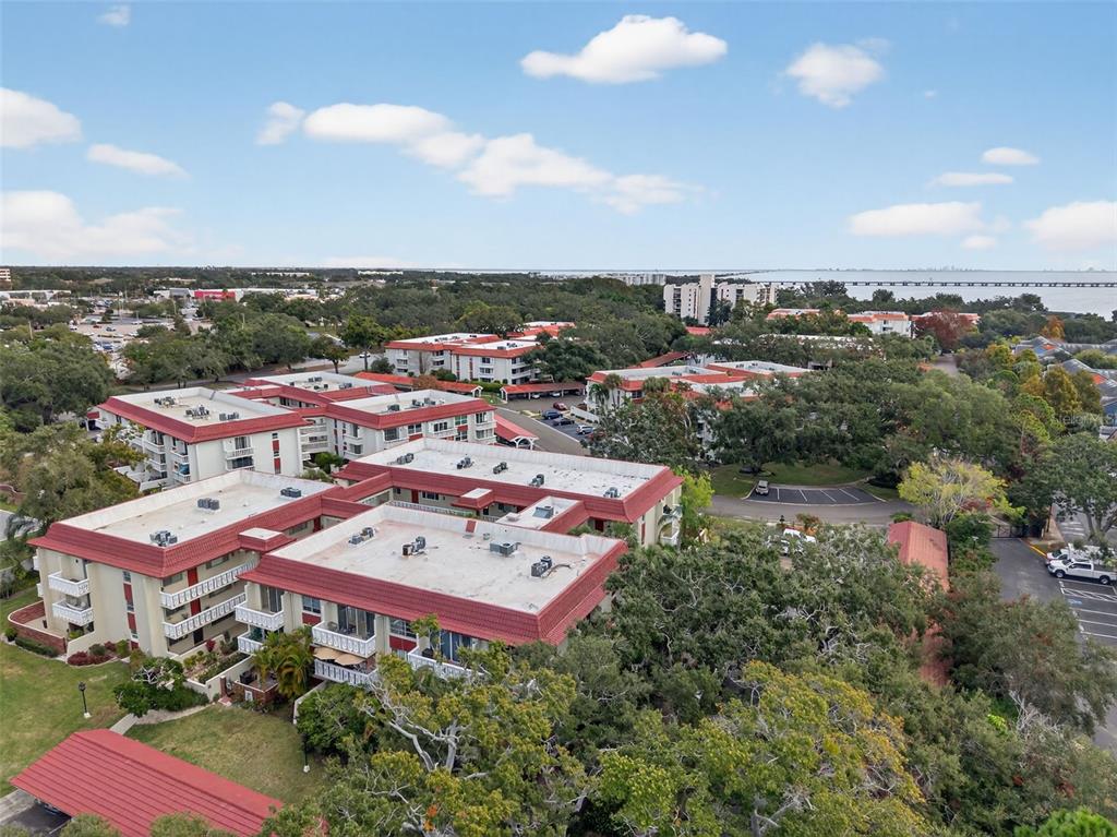 1012 Pearce Drive, Unit 110 Clearwater, FL 33764 - Photo 42 of 46