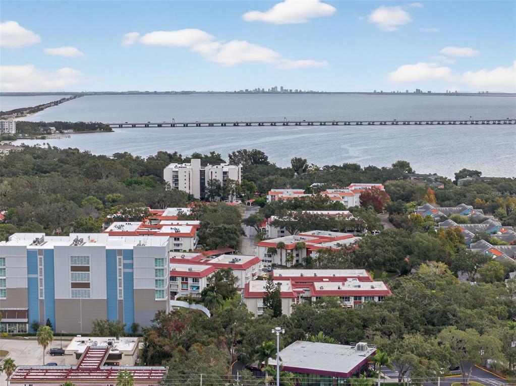 1012 Pearce Drive, Unit 110 Clearwater, FL 33764 - Photo 46 of 46