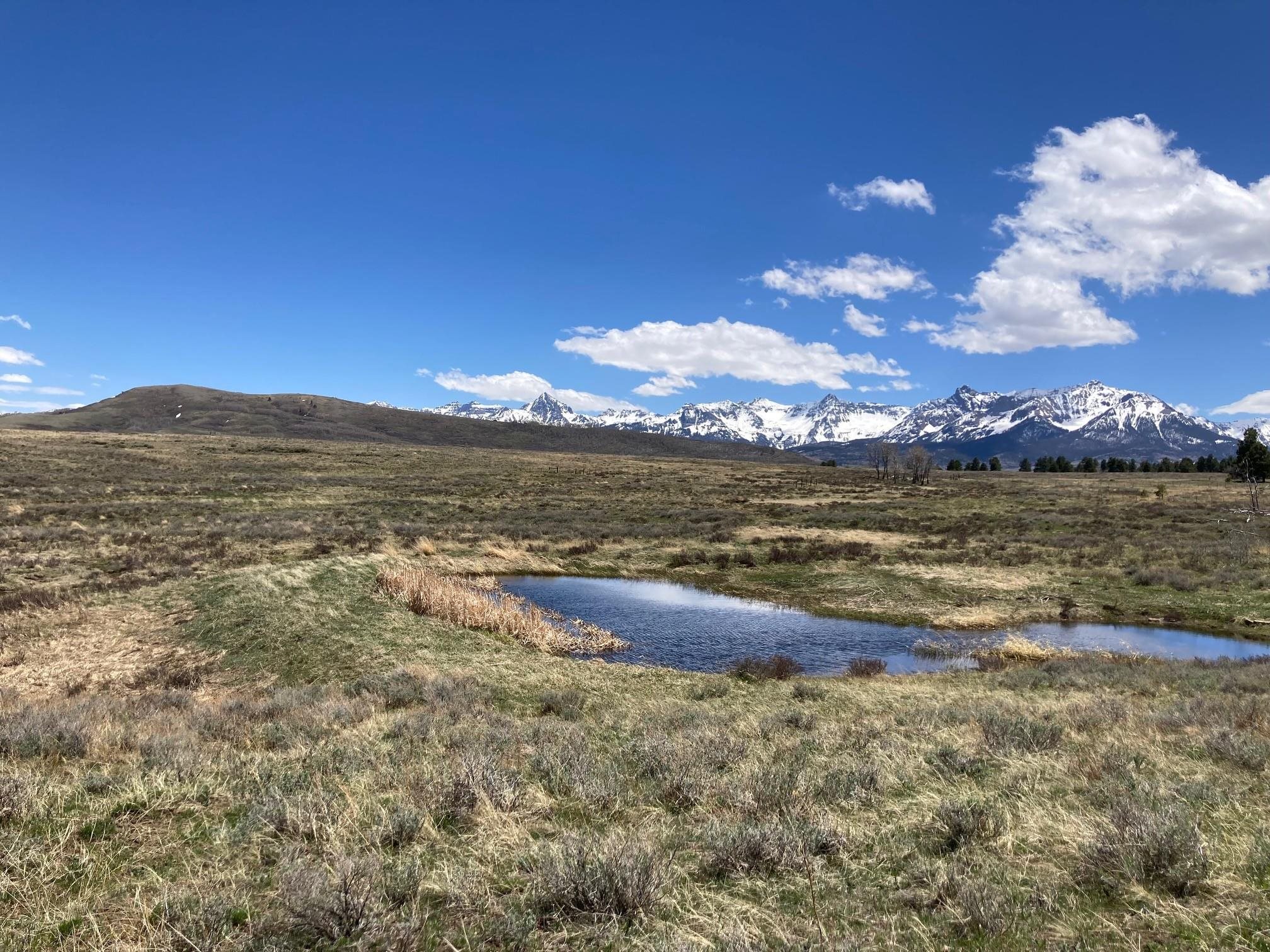 14 County Road Ridgway, CO 81432 - Photo 3 of 11 Gallery Image 3
