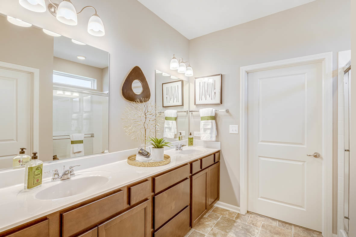 935 Eineke Boulevard Algonquin, IL 60102 - Photo 30 of 39 a bathroom with a sink vanity and a mirror