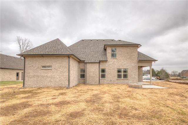 307 Amazonway Ridge Lascassas, TN 37085 - Photo 3 of 20 Gallery Image 3