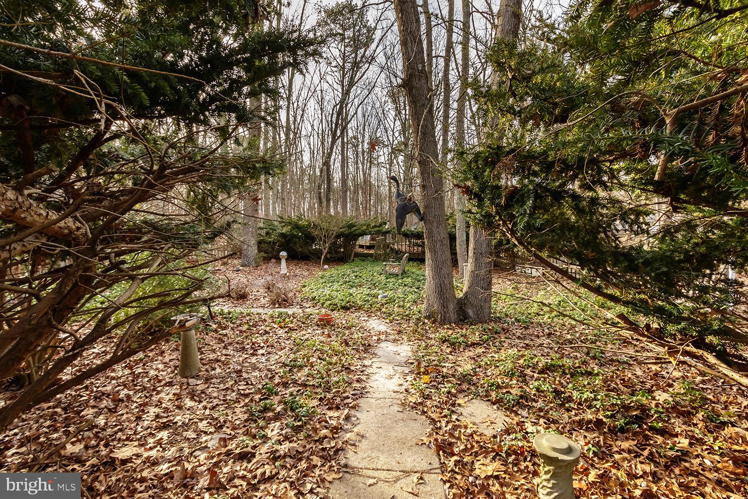 219 Oakshade Road Tabernacle, NJ 08088 - Photo 29 of 30