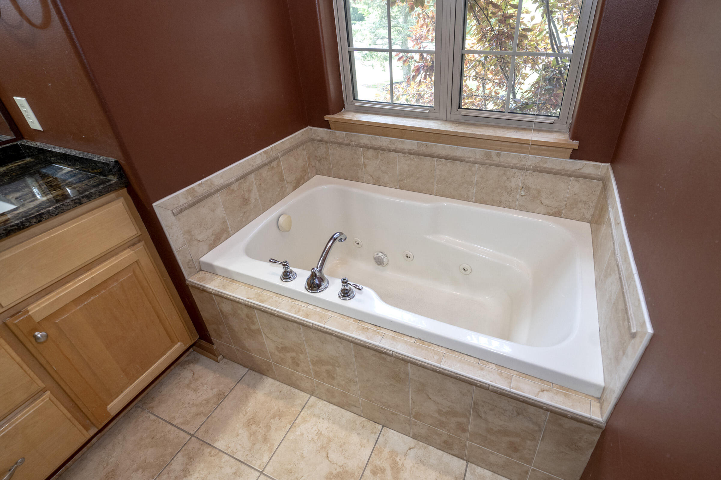 9729 West Prairie Grass Way Franklin, WI 53132 - Photo 38 of 85 Jetted Tub