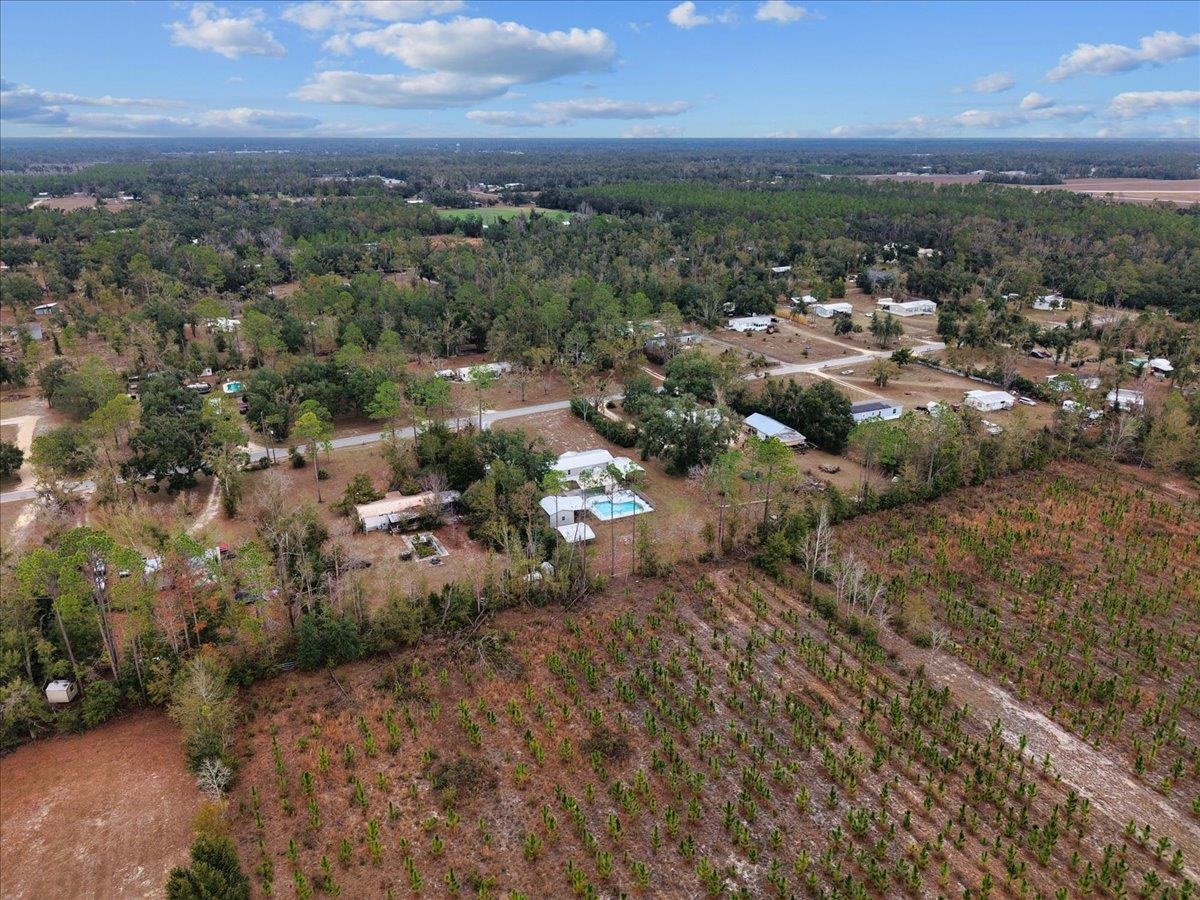 1451 Pine Bluff Road Perry, FL 32348 - Photo 5 of 38