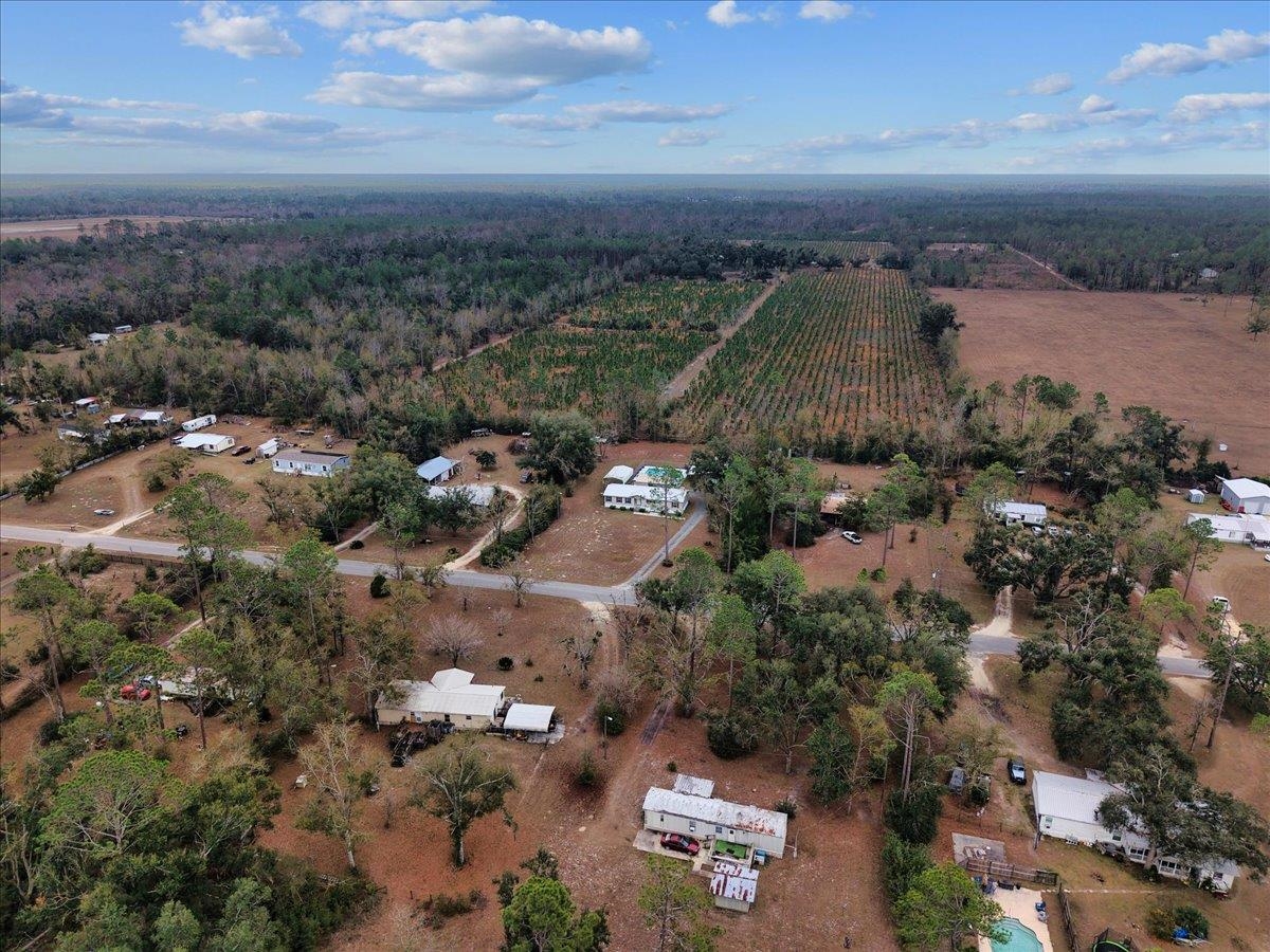 1451 Pine Bluff Road Perry, FL 32348 - Photo 8 of 38