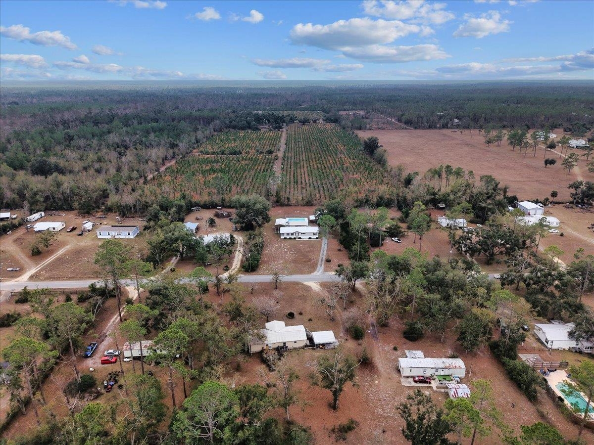 1451 Pine Bluff Road Perry, FL 32348 - Photo 9 of 38