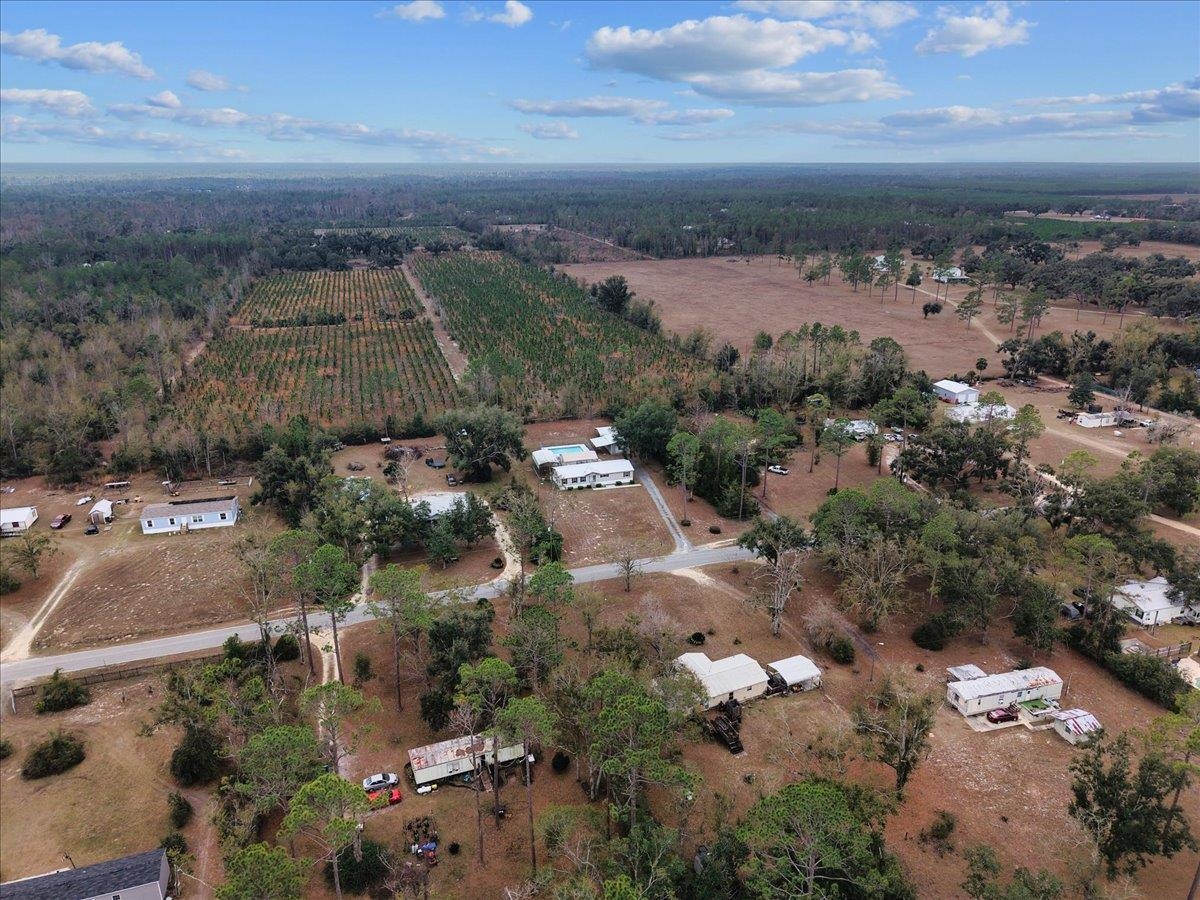 1451 Pine Bluff Road Perry, FL 32348 - Photo 10 of 38