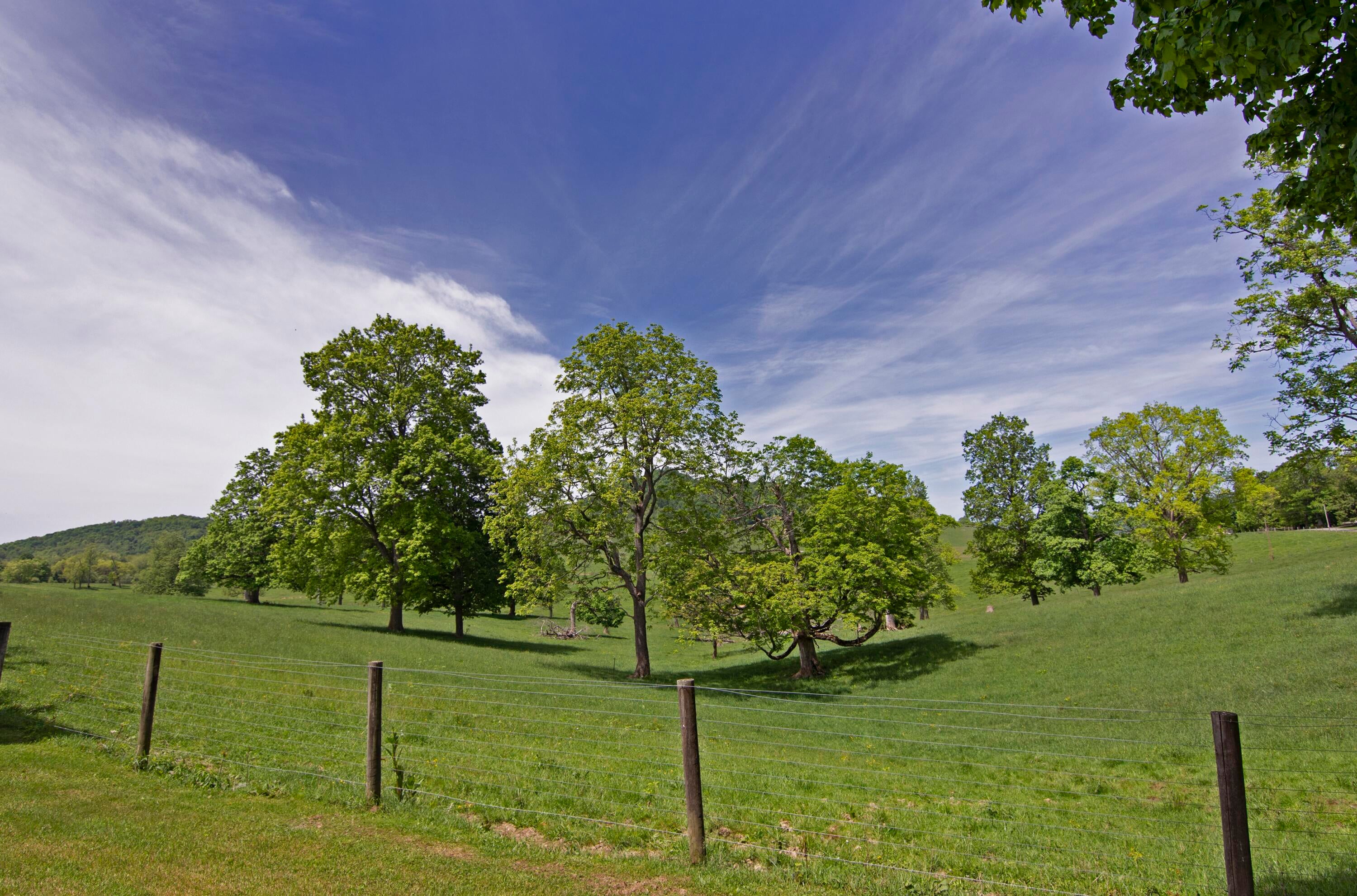4061 Fairview Road Lewisburg, WV 24901 - Photo 6 of 93 Gallery Image 6