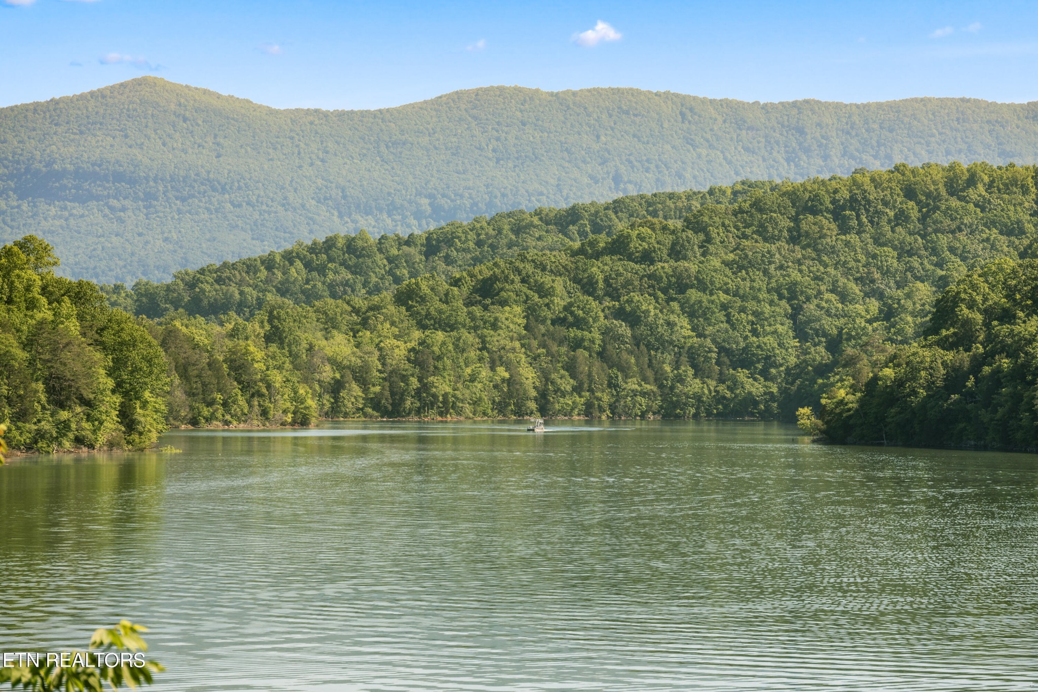 573 East Norris Point Road La Follette, TN 37766 - Photo 16 of 59 Gallery Image 16