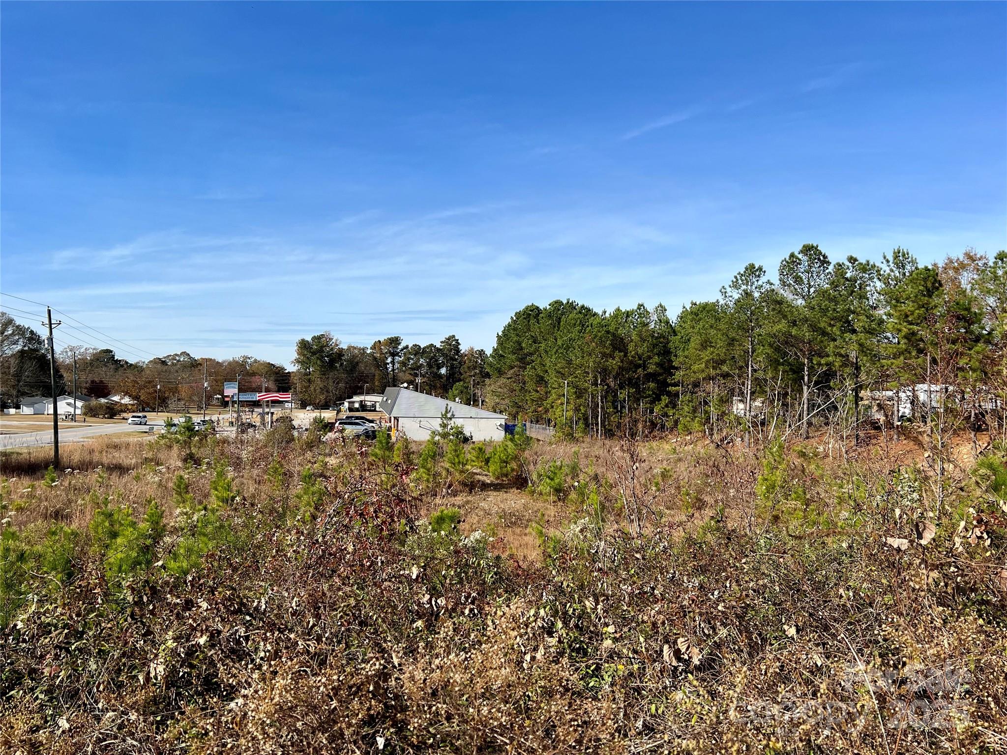 1.18-acres McIlwain Road Lancaster, SC 29720 - Photo 4 of 5 a view of a yard with a tree